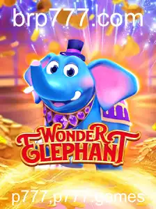 Descubra a Magia de WonderElephant: O Novo Jogo que Encanta a Todos